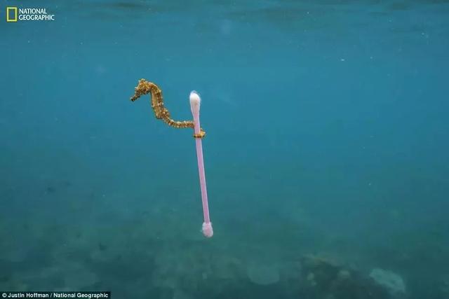 《國(guó)家地理》聚焦 “塑料星球”,人類(lèi)之殤！