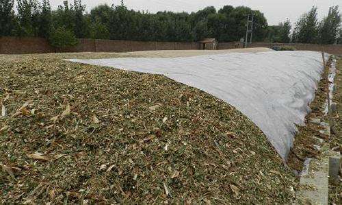 關(guān)注丨珠穆朗瑪峰成了一座“垃圾峰”？