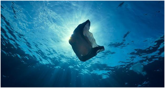 恒譽(yù)環(huán)保：引領(lǐng)“塑料回收”新時(shí)代，助力解決塑料污染